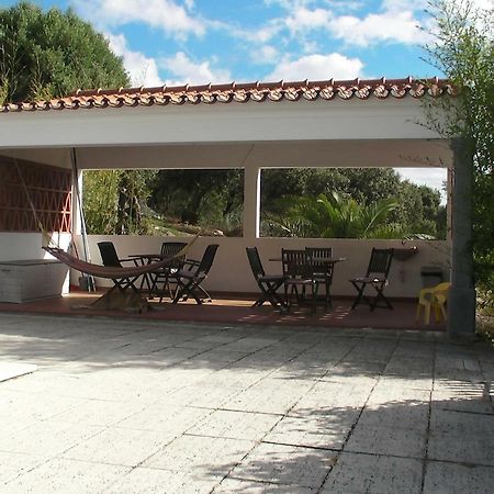 Holiday Home Monte Das Azinheiras أرايولوس المظهر الخارجي الصورة